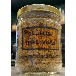 Polline Italiano